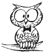 The Wise Owl